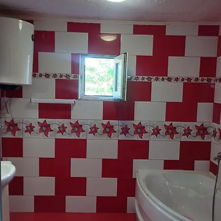 Gazde/Camere de închiriat Casa Saray *