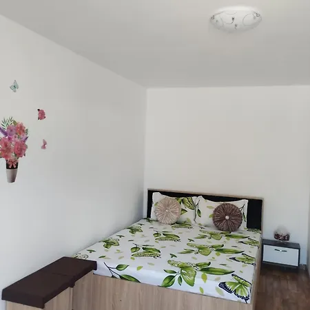Kwatera prywatna Casa Saray *